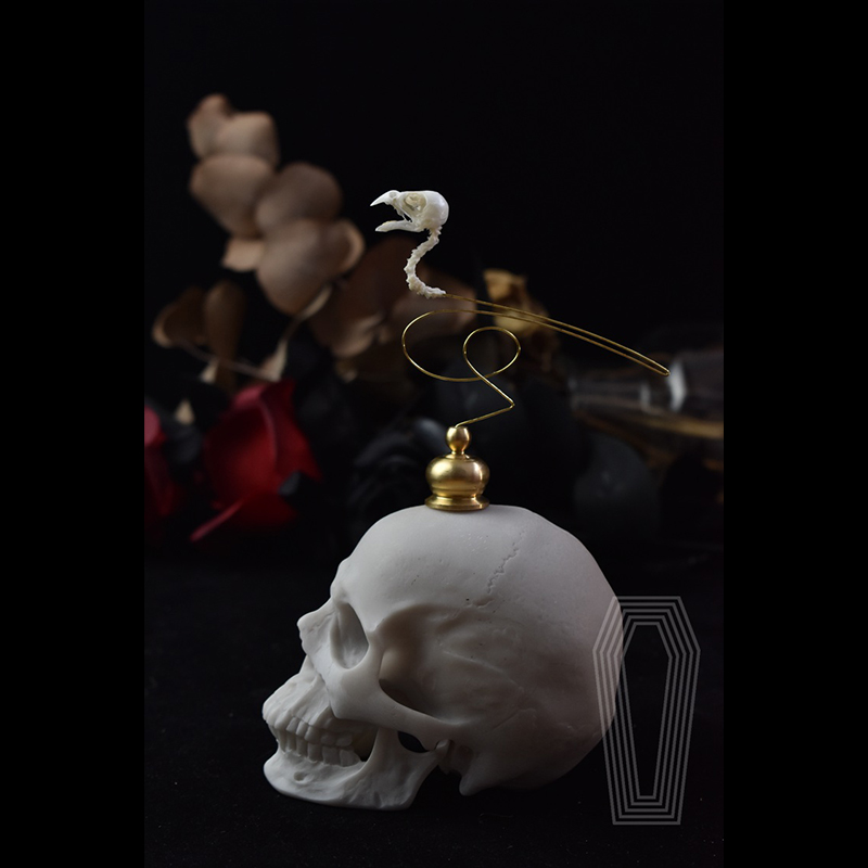 2111 Бутик-коллекция: Этичная  – обзор и цена Art Craft Museum