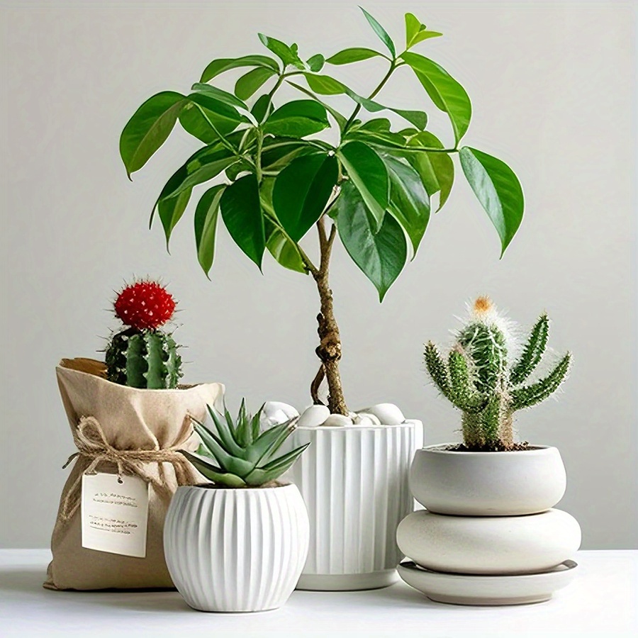 200/400 г белые полированные н – обзор и цена Art Craft Vase